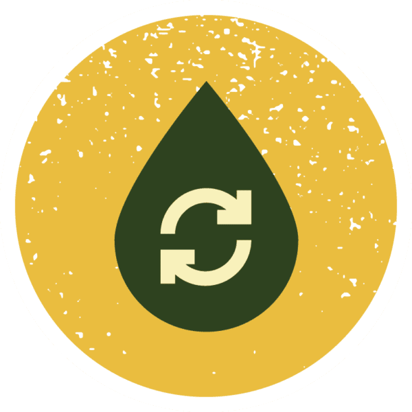 Rainwater Harvestin